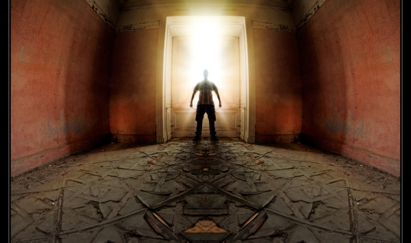 the_visitor