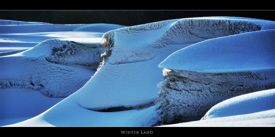 winterland_desktop