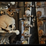 Skull Kutna Hora