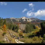 Urwald_Durrenstein_4_Desktop