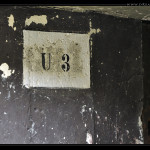 Ungerberg3_8_Web