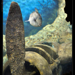 Underwater_Wreck_1_web