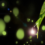 Drop-Effects_web