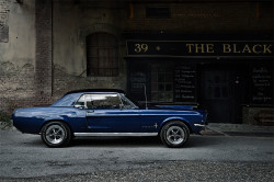 Mustang-BlackCrow-2-web