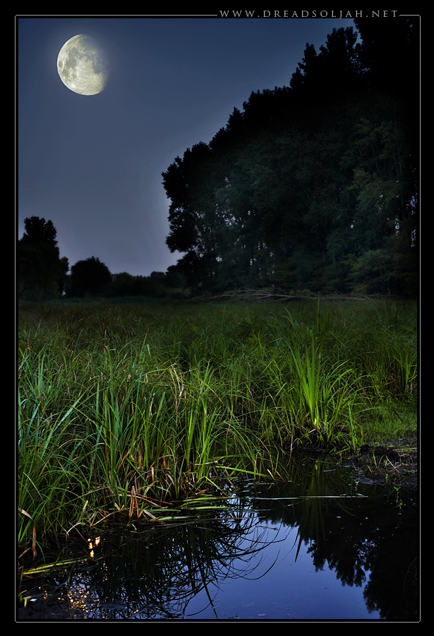 swampy_moon_desktop