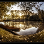 ententeich_fisheye_desktop