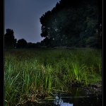 swampy_moon_desktop